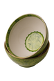 Eternal Olive Jardin Kase (2'li Set)