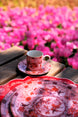 Eternal Warm Coral Amerikan Servisi (2'li Set)