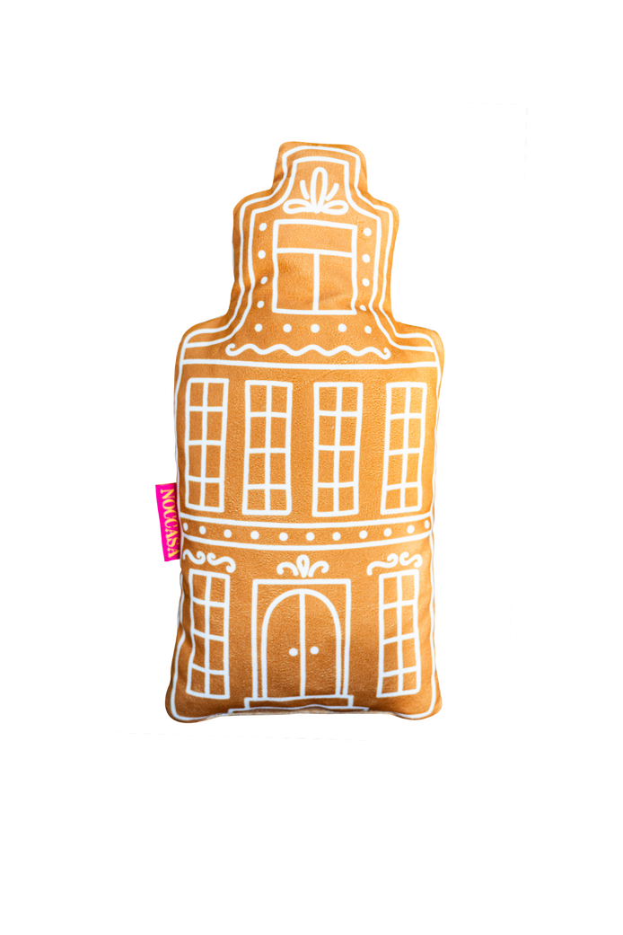 Amsterdam Evi Yastık