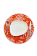 Noc Majorella Turuncu Amerikan Servisi (4'lü Set)