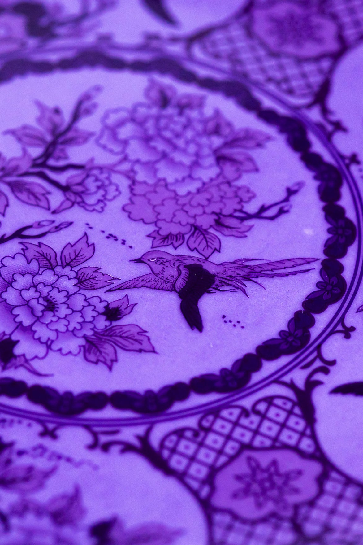 Eternal Lavender Dusk Servis Tabak (2'li Set)
