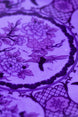 Eternal Lavender Dusk Servis Tabak (2'li Set)