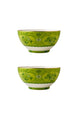 Eternal Olive Jardin Kase (2'li Set)